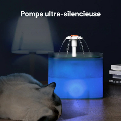 Fontaine à eau pour Chien et Chat